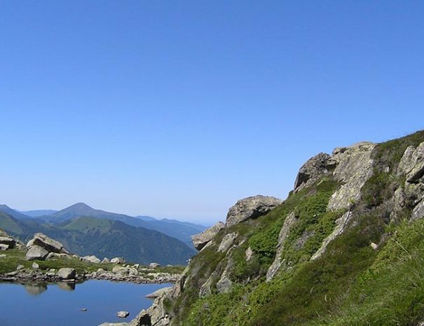 turguilla